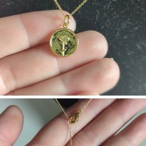 NWT and box Verona gold necklace